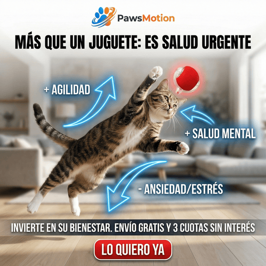 Pelota PawsMotion™ Anti-Ansiedad y Estres: El Juguete Inteligente Pro